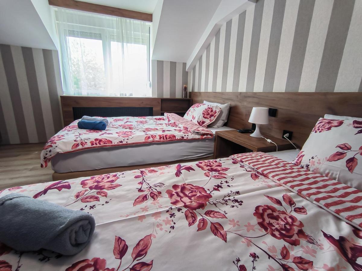 Studio Apartments Maksimovic Ni 외부 사진