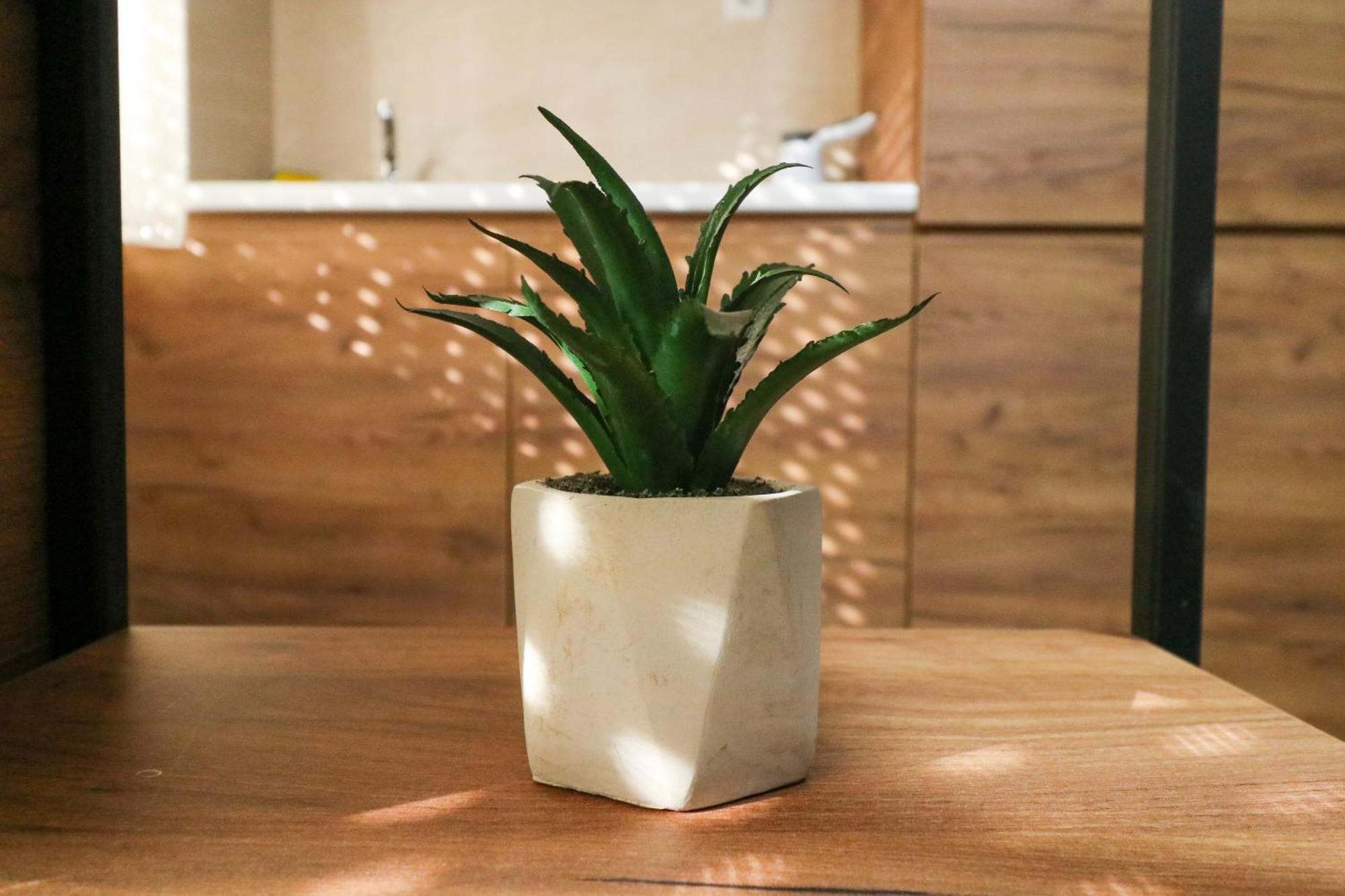 Studio Apartments Maksimovic Ni 외부 사진